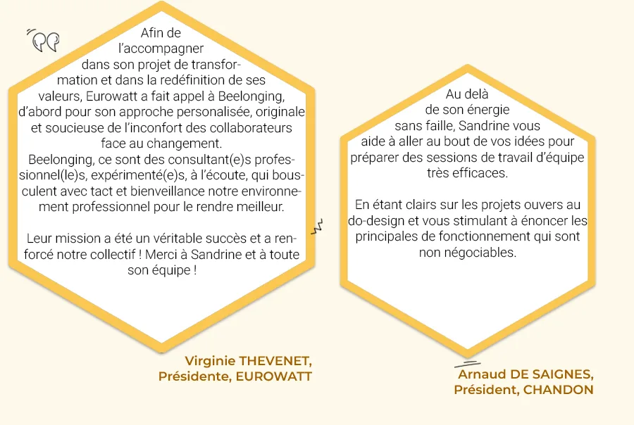 echos-hexa-eurowatt-chandon-fr témoignage coaching entreprise beelonging